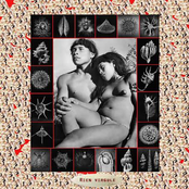 Trente Jours à Grande Échelle