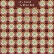 The brain test