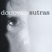 High Your Love by Donovan