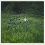 The Gold (Phoebe Bridgers Version)