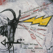 With Friends Like These Who Needs (Sea) Anemones