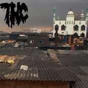 misanthropic noise / misanthropic noise / total hipster crusher