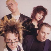 Information Society