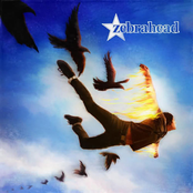 zebrahead: Phoenix