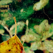 behind the trees / under the leaves