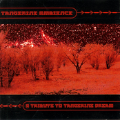 Tangerine Ambience - A Tribute to Tangerine Dream