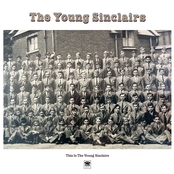 Someone Like The Hawk by The Young Sinclairs