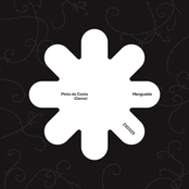 Pinto da Costa(demo)(home recording)