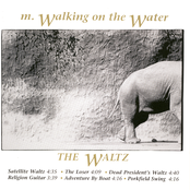 Porkfield Swing by M. Walking On The Water