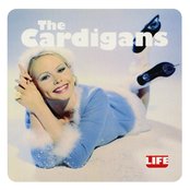 Album cover for Life, by The Cardigans