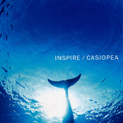 Suggestive One by Casiopea