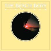 She's Got Rhythm by The Beach Boys