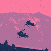 Shizune / Things Fall Apart / Tall Ships Set Sail / Infro Split