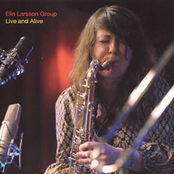 elin larsson group