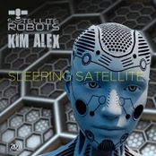 Sleeping Satellite