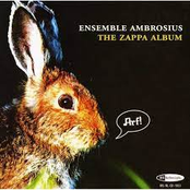 Frank Zappa on Baroque Instruments