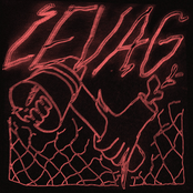 What's wrong with Pilsen?