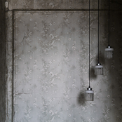 My Family Goes On Without Me