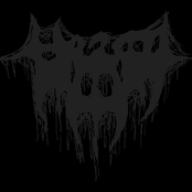 die Geschichte bisher