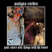 Your Colors Will Change With The Leaves