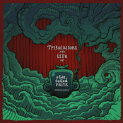 Tribulations And Life Of A Cat Called Fritz