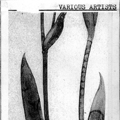 The London Gardens Society