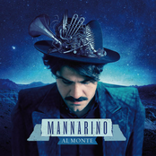 Signorina by Mannarino