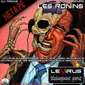 Les Ronins