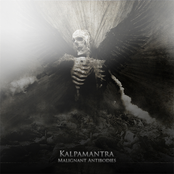 The Malignant Series / Vol. I: Malignant Antibodies