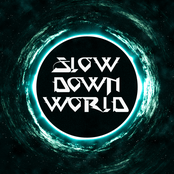 Slow Down World