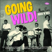Going Wild! Music City Rock'n'Roll