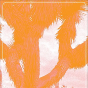 LP Promo Summer 2023