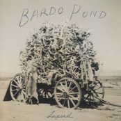 Bardo Pond: Lapsed