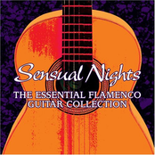 Sensual Nights: The Essential Flamenco Guitar Collection