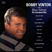 Raindrops Keep Falling On My Head by Bobby Vinton