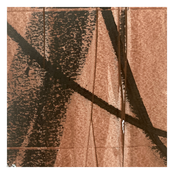 [FAM109] RBS Volume II