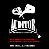 auditor