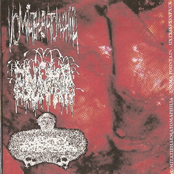 Vomitatiehaematomaphilia / Enema Fountain / UxTxIxFxSxPxCx