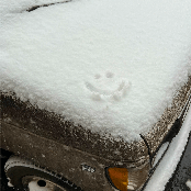 As Weird As It Seems