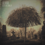 Silver Box Song EP (deluxe)