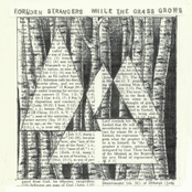 Forlorn Strangers: While the Grass Grows