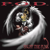Can You Feel It? by P.o.d.
