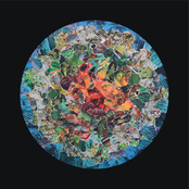 Cody Woods: Keep Your Eye on the Tiger