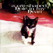 A Cat-Shaped Hole in My Heart