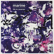 Remember Caribou by Marine