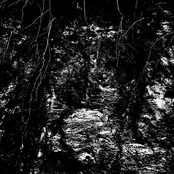 Raw Pit / Hana Haruna