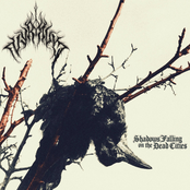 Тіні, що Падають на Мертві Міста