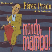 Mondo Mambo!