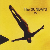 Through The Dark by The Sundays