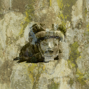 Memorias de los Pájaros Niños